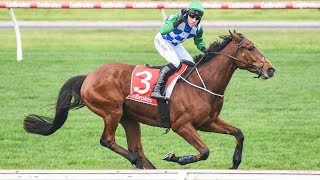 Warrnambool Racing Preview Day 1 Brierly Steeplechase Day 300424  Sky High Horse Racing [upl. by Neerbas]