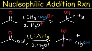 Nucleophilic Addition Reaction Mechanism Grignard Reagent NaBH4 LiAlH4 Imine Enamine Reduction [upl. by Livingston651]