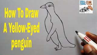 HOW TO DRAW A YELLOWEYED PENGUIN [upl. by Suk]