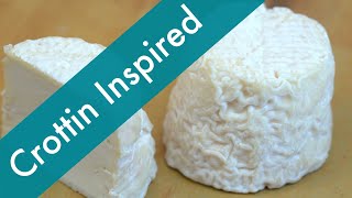 Love Goat Cheese Try Making this CrottinInspired Cheese at Home [upl. by Enyalahs]