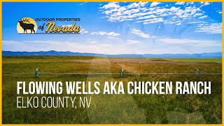 Nevada Property for Sale  Elko County NV  Flowing Wells aka Chicken Ranch [upl. by Akiehs]