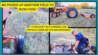 We Picked Up Another Field to Bush Hog [upl. by Ranee]