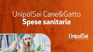 UnipolSai CneampGtto  spese sanitarie [upl. by Akimak764]