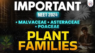 IMPORTANT PLANT FAMILIES FOR NEET 2024  MALVACEAE ASTERACEAE POACEAE  NEET BIOLOGY BY SANKALP [upl. by Ekim341]