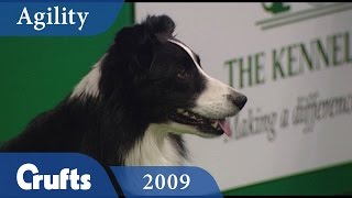 Agility  Kennel Club International Slalom Knockout 2009  Crufts Dog Show [upl. by Feingold]