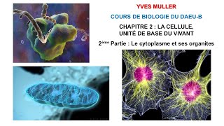 Chapitre 2  2ème partie  Le cytoplasme et ses organites  Cours de Biologie du DAEUB [upl. by Sclater]