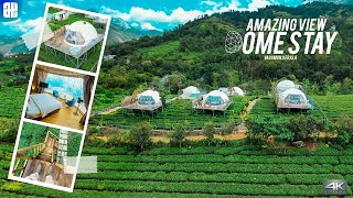 Nature Bubble Glamping Stay  Monticle Glamps  Vagamon  Kerala  4K [upl. by Hopfinger629]