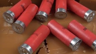 12 Gauge Birdshot For Home Defense [upl. by Toole]