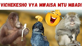 MWAISA COMEDY MPYA 🤣🤣🤣😂 [upl. by Elesig]