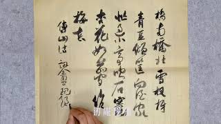 傅山詩。中國書協會員黨現強先生書法作品。chinesecalligraphy chinesewriting [upl. by Jael495]