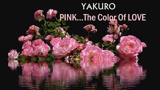 PINK The Color Of LOVE  YAKURO [upl. by Razal]