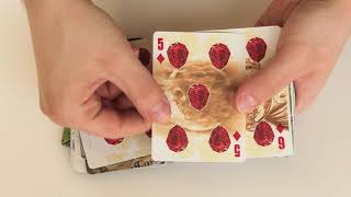 Bicycle cards Alchemy England  deck review [upl. by Crain817]