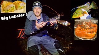 COASTAL FORAGING  Big Lobster  Bass amp Wrasse  Tasty Lobster wraps [upl. by Ardnuas]