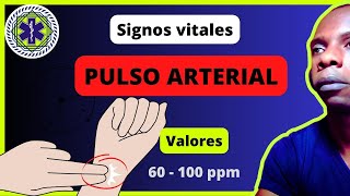 ✔ Signos vitales Pulso Arterial Frecuencia y valores normales alteraciones [upl. by Hawthorn]