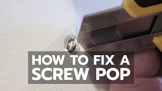 Patch Walls Like a Pro  Screw Pop Fix [upl. by Nelyak]