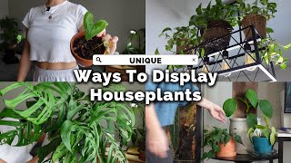 Upgrade Your Home with THESE Indoor Plant Display Tricks [upl. by Clotilde]