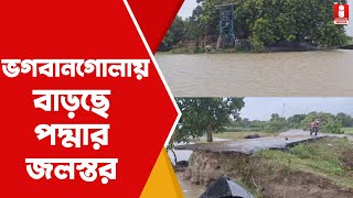 Padma Water Level প্লাবিত চাষের জমি ভগবানগোলায় বাড়ছে পদ্মার জলস্তর [upl. by Jason]