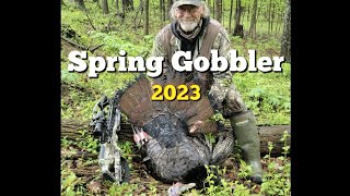 Spring Gobbler taken with a crossbow archery spring turkey turkeyhunting [upl. by Annaiv]