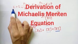 Derivation of Michaelis Menten Equation [upl. by Orland]