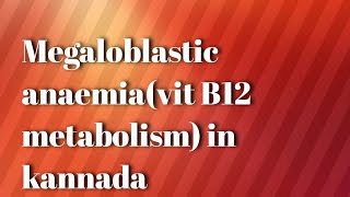 Megaloblastic anaemia vit B12 physiology and metabolism [upl. by Nhguavaj]