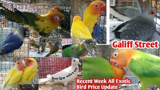 Bird Price in gallif street 😃 Gallif Street Pet Market  Cheapes Market price Update bird AmitWild [upl. by Yenruogis286]