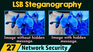 LSB Steganography  Demo [upl. by Pardo]