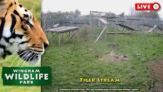 Wingham Wildlife Park Live Stream [upl. by Atilal]