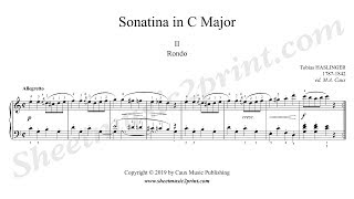 Haslinger  Sonatina in C Major Second movement [upl. by Akirdnahs]