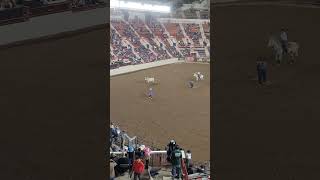 Bull Riding 🐂 2023 Pa Farm Show High School Rodeo [upl. by Hallagan]