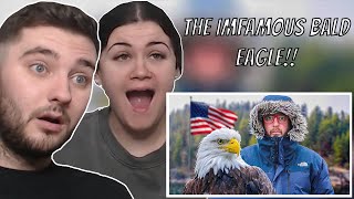 British Couple Reacts to Lets Talk About Americas Iconic Bald Eagle [upl. by Margherita371]