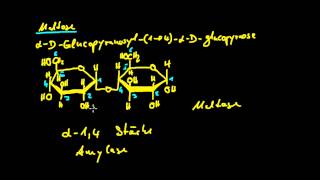 Organische Chemie  11 Kohlenhydrate 3  Disaccharide [upl. by Nemad94]