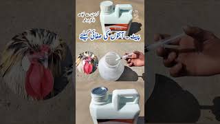 Treatment of Sick Birds at Home  How to Deworm Poultry Birds  Ezole Drench  Dr ARSHAD [upl. by Kirt521]