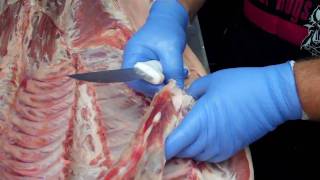 How To Trim A Whole Hog  Part 3 [upl. by Jesher]