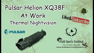 Pulsar Helion XQ38F at Work [upl. by Corbie]