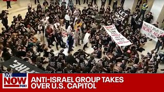 BREAKING Protesters at Capitol demand Gaza ceasefire spark fears of riot  LiveNOW from FOX [upl. by Eudocia]