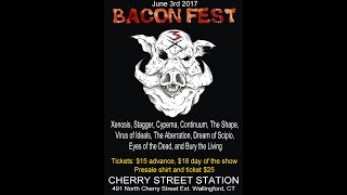 The Best of Baconfest 2017  LIVE FROM CHERRY STREET STATION [upl. by Airamahs]