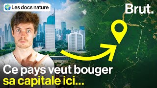 Une capitale futuriste géante… en pleine forêt [upl. by Halyak]