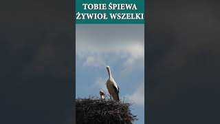 Kiedy ranne wstają zorze 1 Tobie śpiewa żywioł wszelki bądź pochwalon Boże Wielki [upl. by Erdna]