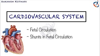 Fetal Circulation Shunts in Fetal Circulation  Cardiovascular System Embryology by Aakansh Kothari [upl. by Junno]