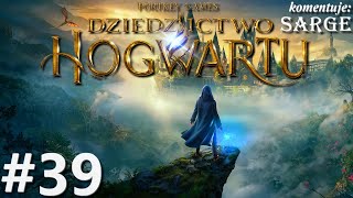 Zagrajmy w Hogwarts Legacy PL odc 39  Wielki donżon  Dziedzictwo Hogwartu PL [upl. by Artinek10]