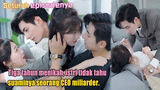 Tiga tahun menikah istri tidak tahu suaminya seorang CEO miliarder [upl. by Domingo]