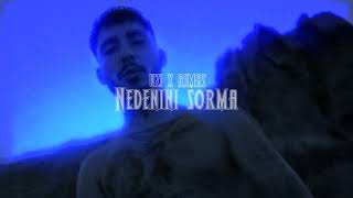 Uzi X Rimas  Nedenini Sorma  MİX Prod By vTech [upl. by Adekahs]