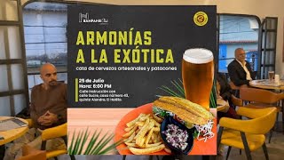 Armonías a la exótica cervezas artesanales y patacones en Sagas [upl. by Cas]