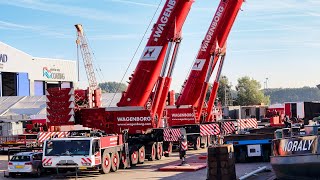 KranTandemhub im Papenburger Hafen  Dutch cranes working in the Papenburg harbor [upl. by Roose]