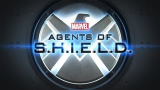 Agents of Shield COMPLETE Story Explained Seasons 15 Recap [upl. by Nerral]