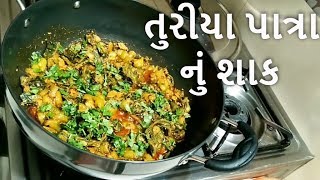 તુરીયા પાત્રા નું શાક  Gujarati Turiya Patra nu Shak [upl. by Fiore]