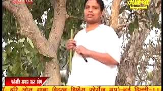 पेट रोग में अमलतास का प्रयोग I ACHARYA BALKRISHNA I WORLD AYURVEDA GURU [upl. by Fernald]