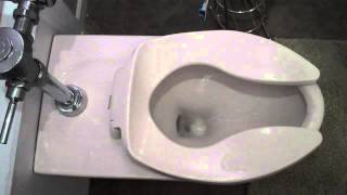 Commercial Flush Toilet in Residential final improvements in plumbing [upl. by Eisse319]