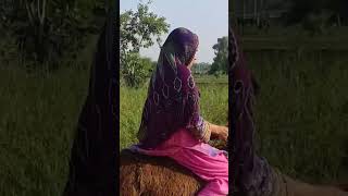 Donkey riding in high speed  full vlog on channel desertwomendailyroutine mumtaz dailyroutine [upl. by Sarad]