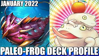 PALEOZOIC FROG DECK PROFILE  JANUARY 2022  YuGiOh [upl. by Manella]